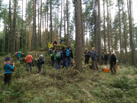 Wald-Familientag-Osterzgebirge